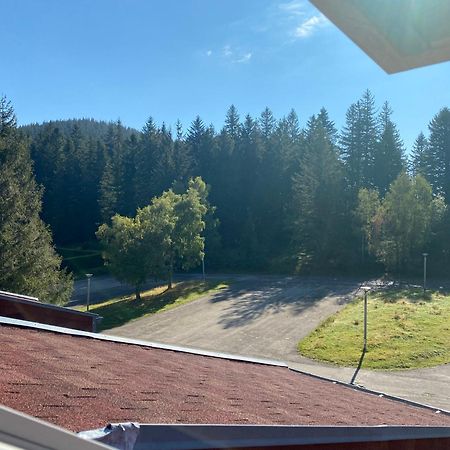 Apartamento Au P'Tit Nid Douillet De Lea Muhlbach-sur-Munster Exterior foto
