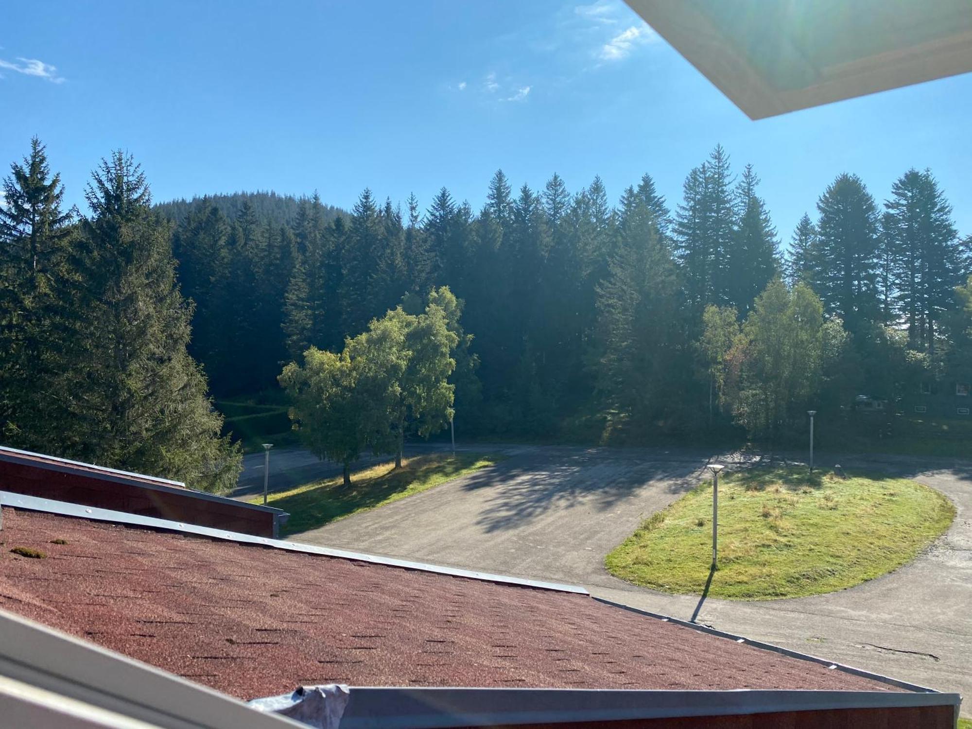 Apartamento Au P'Tit Nid Douillet De Lea Muhlbach-sur-Munster Exterior foto